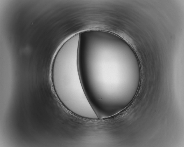 X0000096180912200801180847