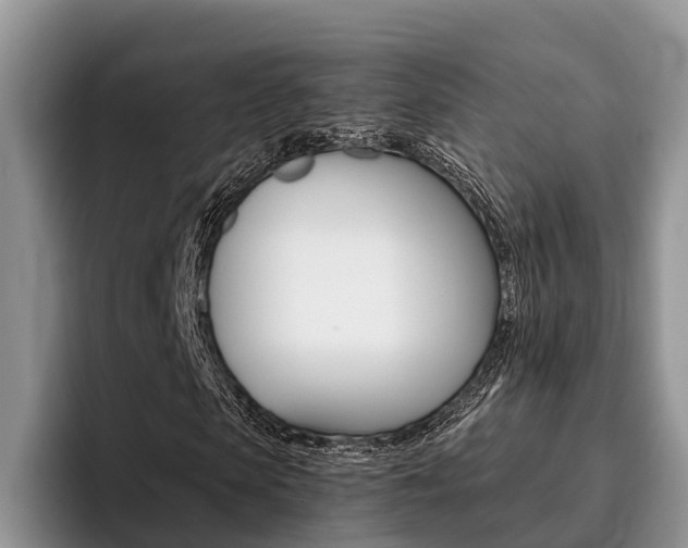 X0000096180913200801180847