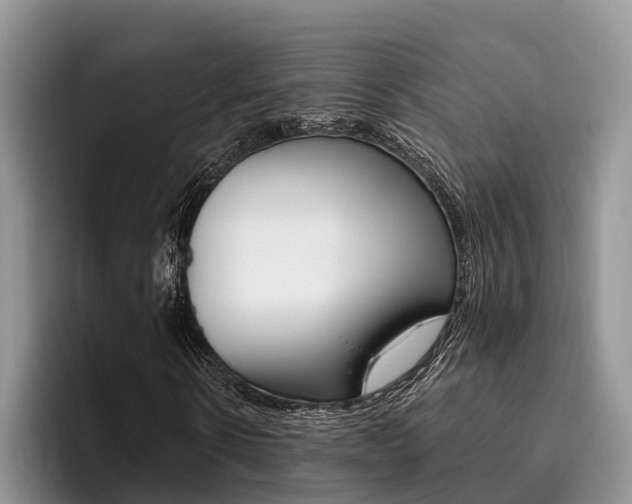 X0000096180914200801180847