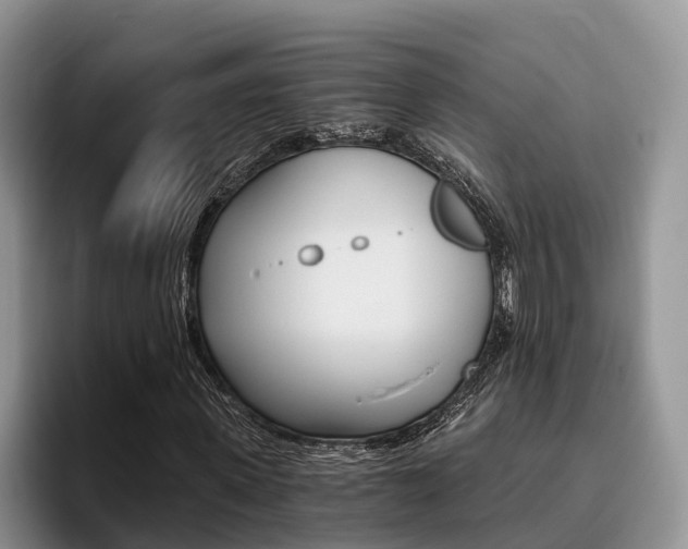 X0000096180915200801180847
