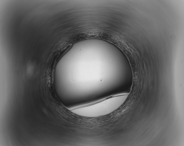 X0000096180916200801180847