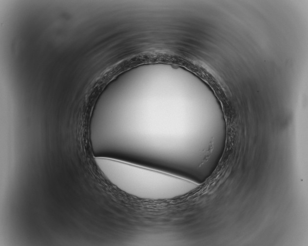 X0000096180919200801180847