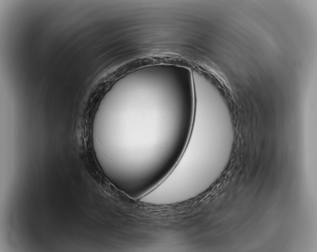 X0000096180920200801180847