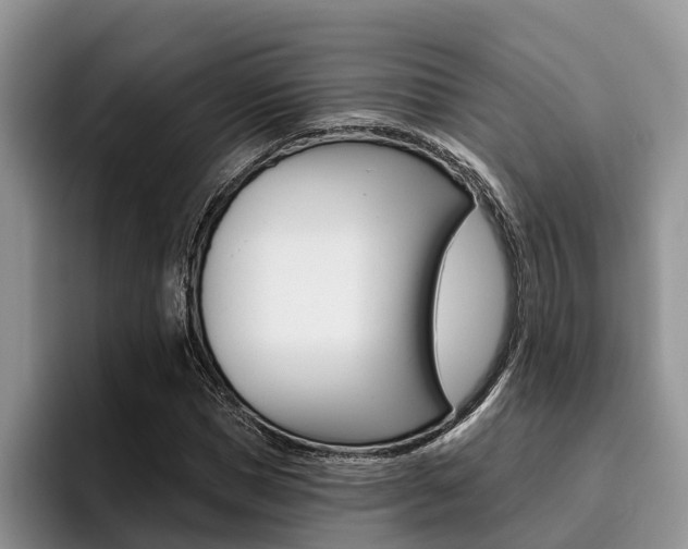 X0000096180921200801180847