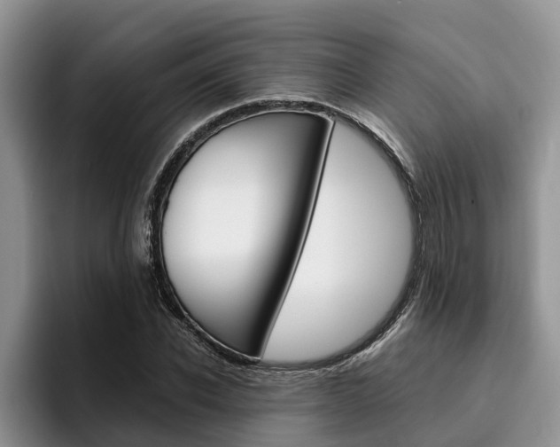 X0000096180926200801180847