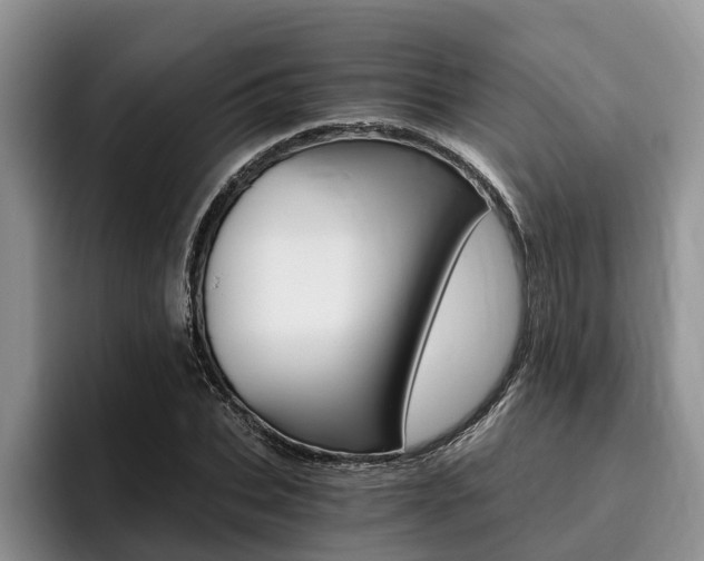 X0000096180927200801180847