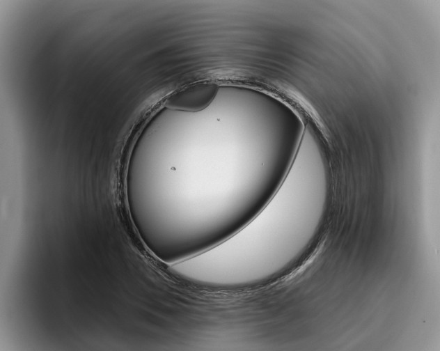 X0000096180930200801180847