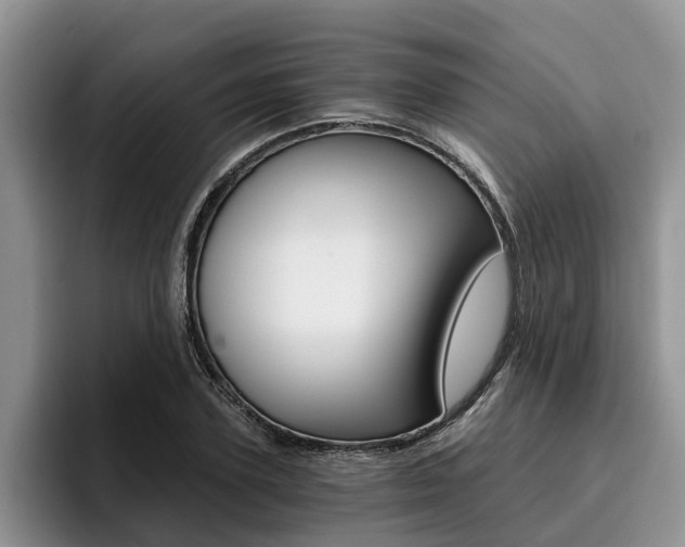 X0000096180931200801180847