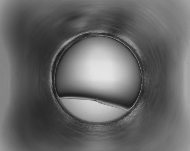 X0000096180935200801180847