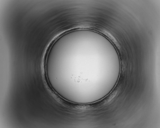 X0000096180939200801180847