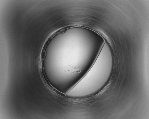 X0000096180940200801180847