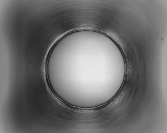 X0000096180941200801180847