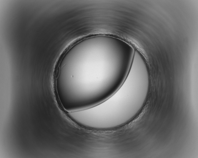 X0000096180942200801180847