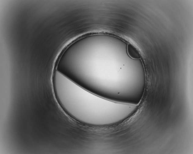 X0000096180943200801180847