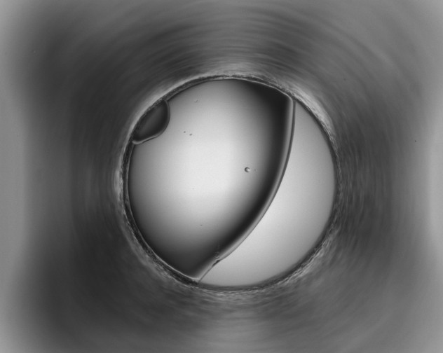 X0000096180944200801180847