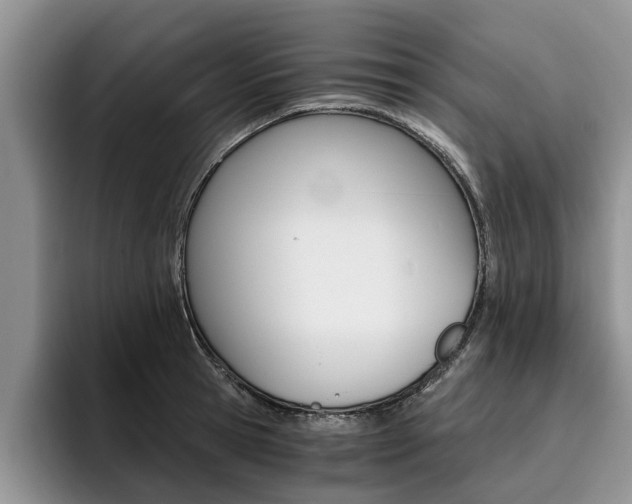 X0000096180945200801180847