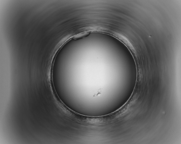 X0000096180946200801180847