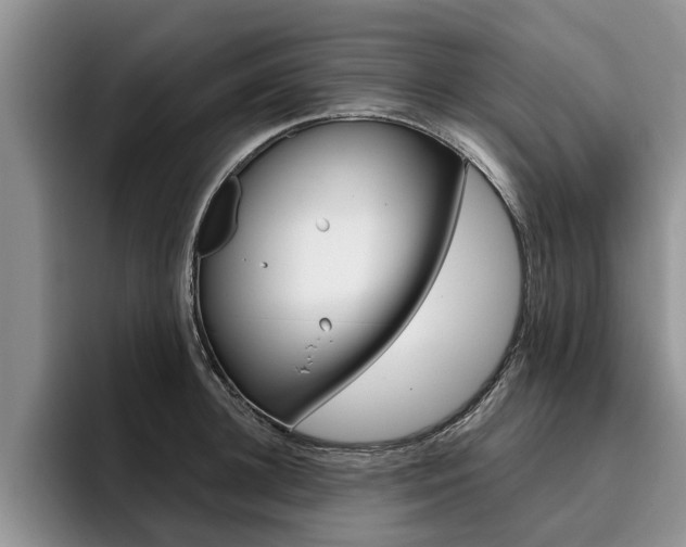 X0000096180948200801180847