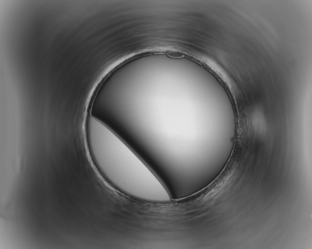 X0000096180951200801180847