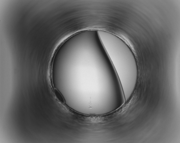 X0000096180952200801180847
