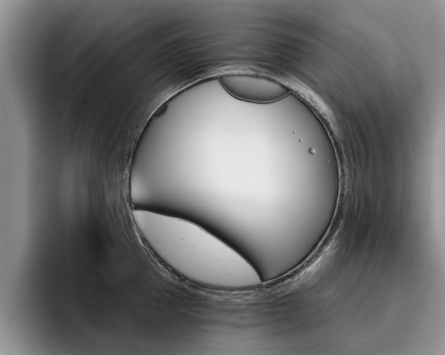 X0000096180953200801180847