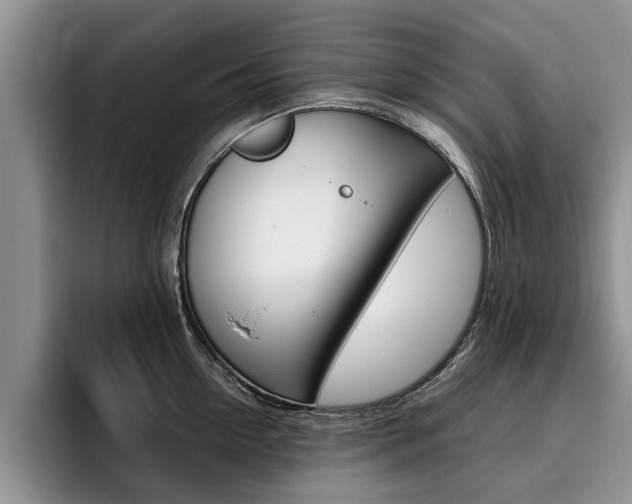 X0000096180954200801180847
