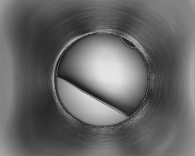 X0000096180955200801180847