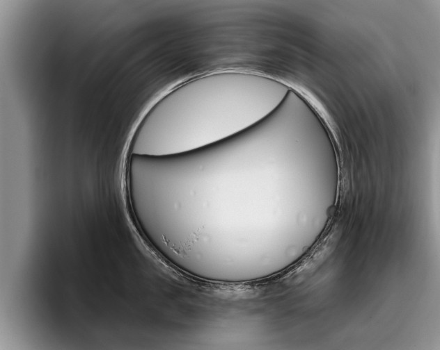 X0000096180957200801180847