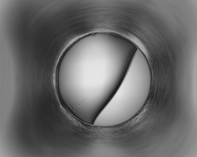 X0000096180958200801180847