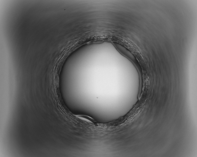 X0000096180961200801180847
