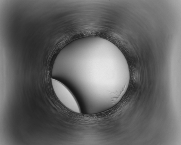 X0000096180964200801180847