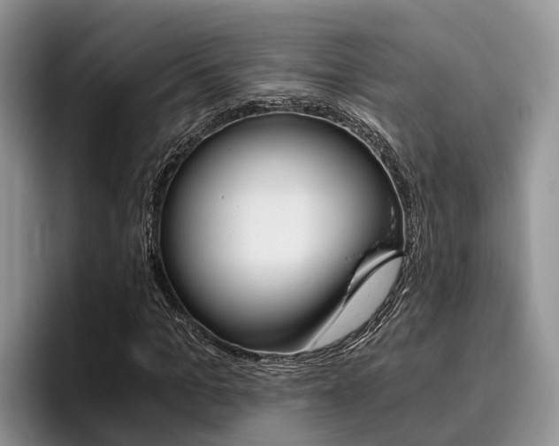 X0000096180965200801180847