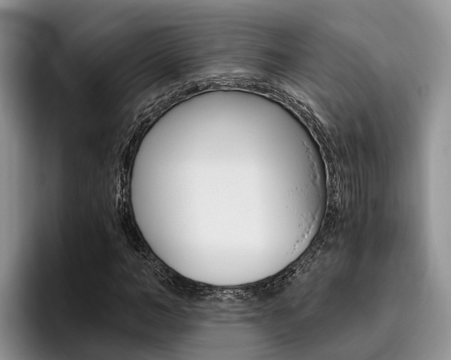 X0000096180966200801180847