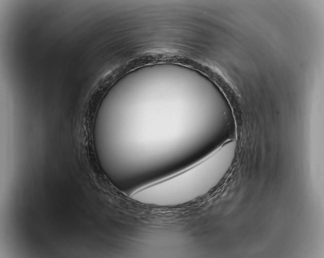 X0000096180967200801180847