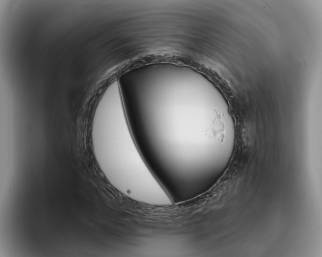 X0000096180968200801180847