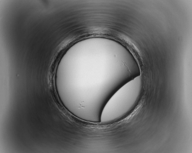 X0000096180970200801180847