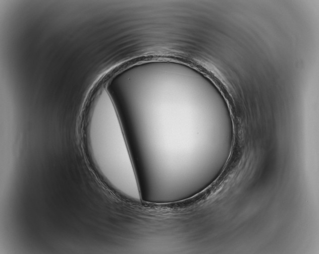 X0000096180971200801180847