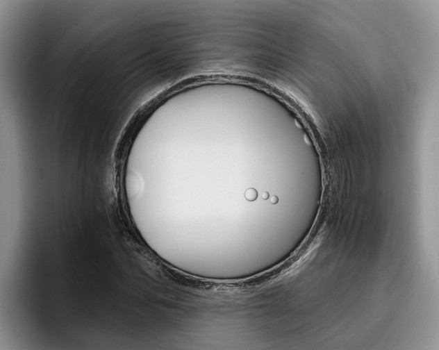 X0000096180974200801180847
