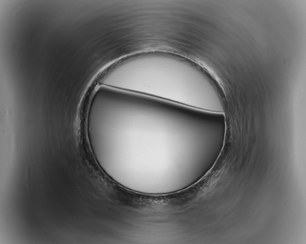 X0000096180975200801180847