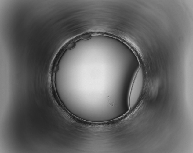 X0000096180976200801180847