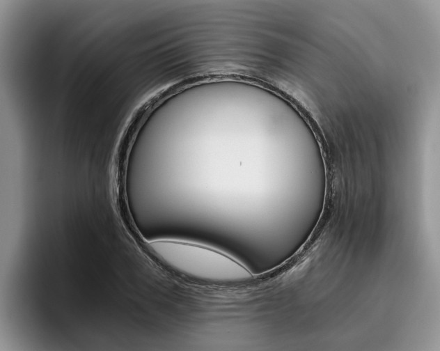 X0000096180979200801180847