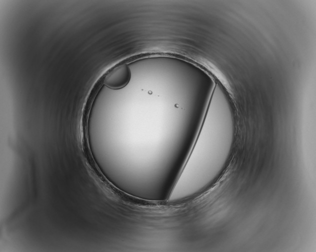 X0000096180980200801180847