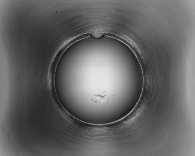 X0000096180981200801180847