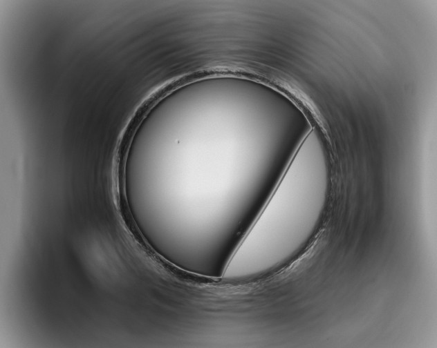 X0000096180984200801180846