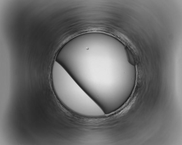 X0000096180985200801180846