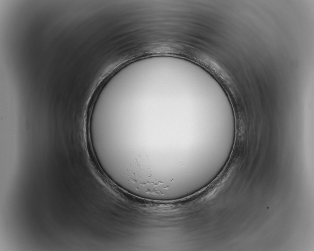 X0000096180986200801180846