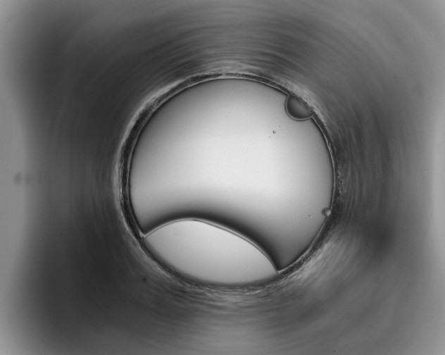X0000096180987200801180846