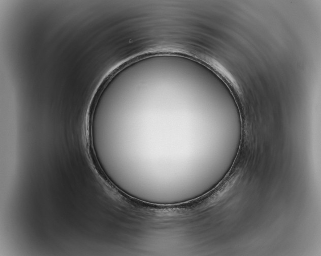 X0000096180988200801180846