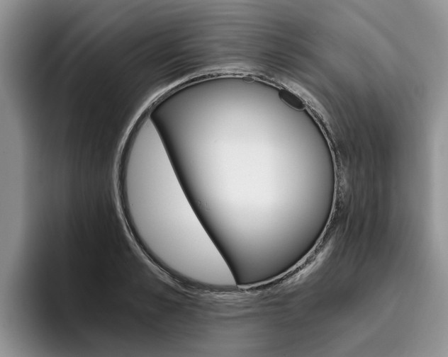 X0000096180989200801180846