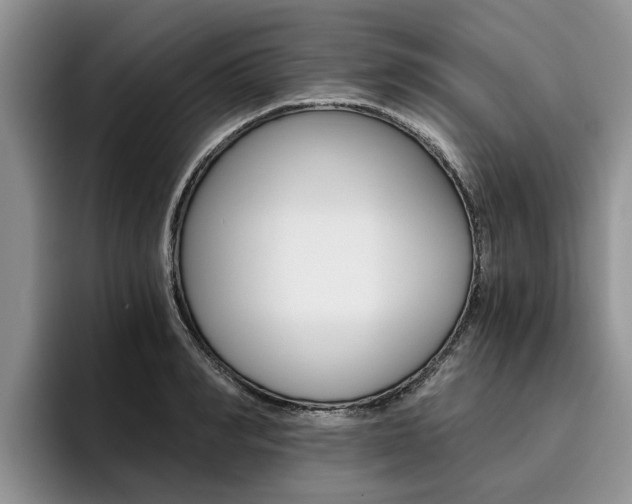 X0000096180990200801180846